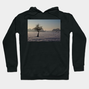 gathering at sun down Hoodie